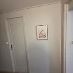Le Petit Versaillais