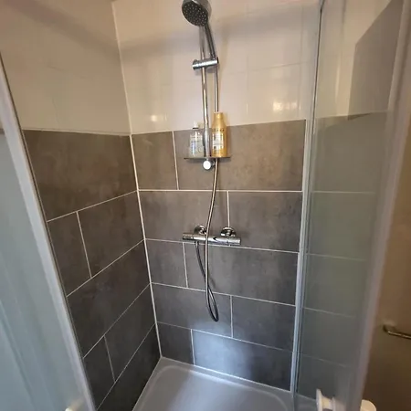 Le Petit Versaillais *