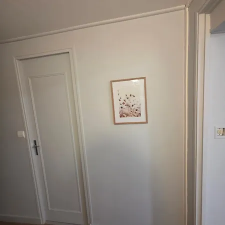 Le Petit Versaillais