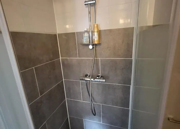 Le Petit Versaillais *